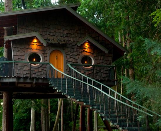 owl house