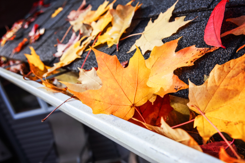Autumn,Leaves,In,A,Rain,Gutter,On,A,Roof